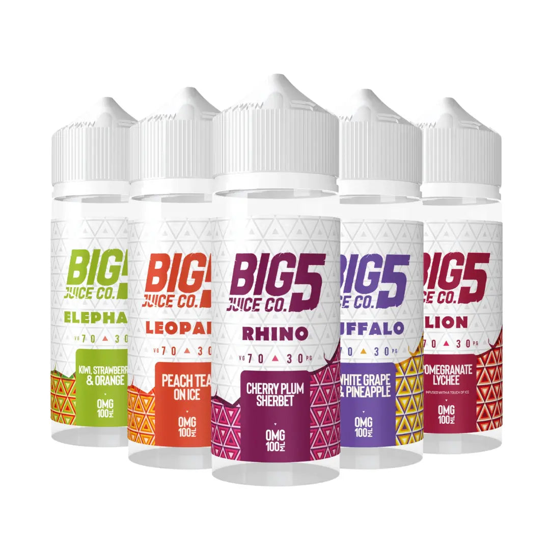 Big 5 Vape Juice Fruit Series 100ml Shortfill