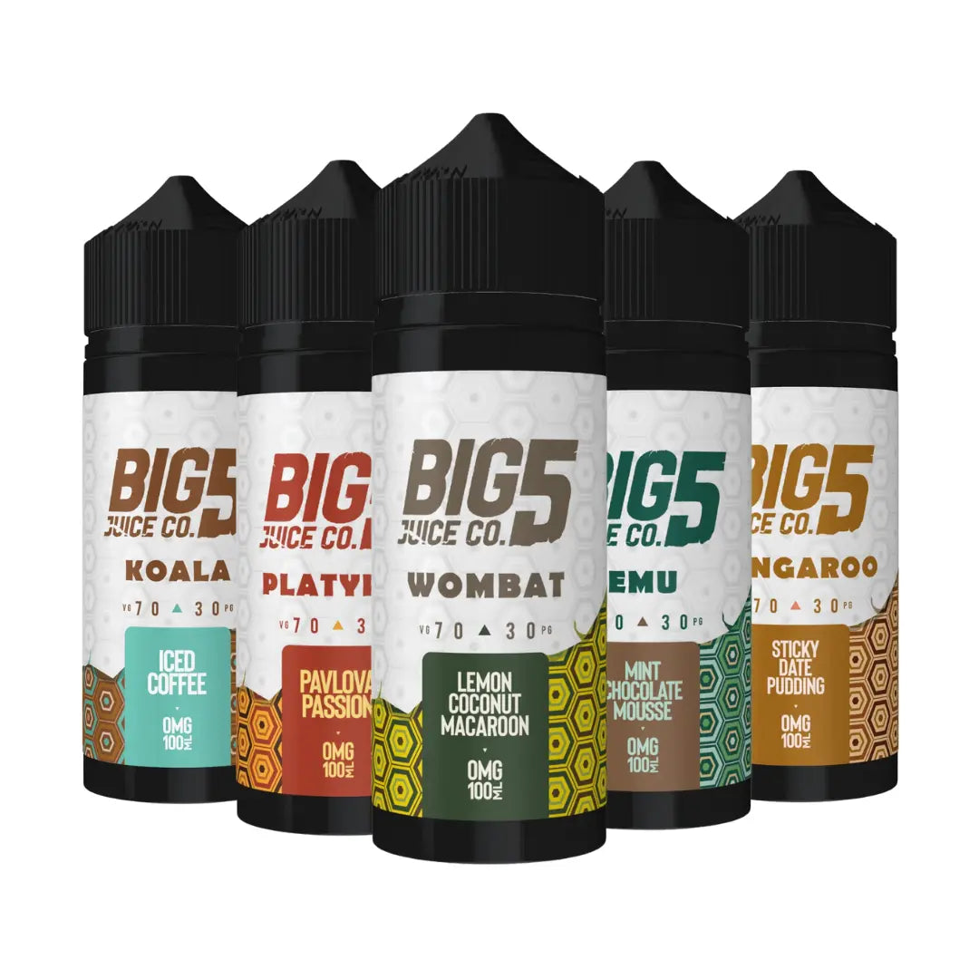 Big 5 Vape Juice Creamy Series 100ml Shortfill